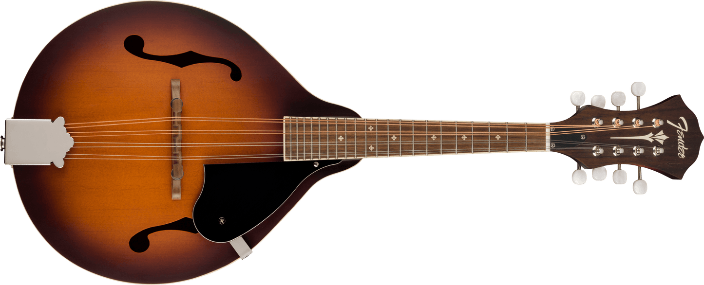PM-180E Mandolin